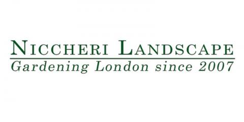 Niccheri Landscape Logo