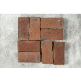 Dorset Antique Cottage Garden Clay Paver - 210x100x50mm Sample