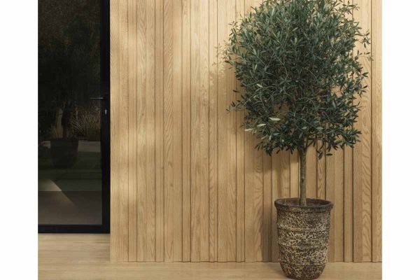 Ashwood Board & Batten Millboard Cladding