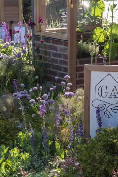 View through purple flowers show Old English Facing Bricks to create building at RHS Chelsea Flower show 2024.***Base Squared, www.basesquared.co.uk for Gabriel Ash, www.gabrielash.com | RHS Chelsea Flower Show 2024
