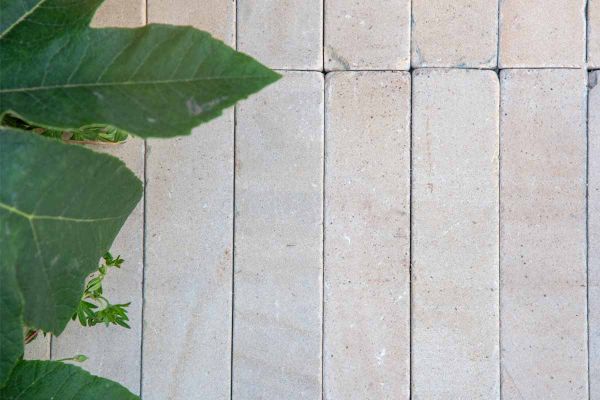 Close-up of Harvest Sandstone pavers showing its warm pastel colours and sawn and tumbled surface next to leafy green plant.***Garden House Design | 5* Trade Stand @ RHS Chelsea 2024 | Imagery for illustrative purposes only, read install guide.
