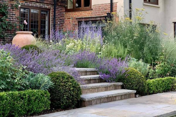 4 Tumbled Black Sandstone Rock-Faced Steps lead up to house through lush planting including lavender, huge terracotta pot sits at the top.***Designed by Acres Wild, www.acreswild.co.uk | Built by Greenlink Outdoor Living Ltd, www.greenlinklandscapes.co.uk