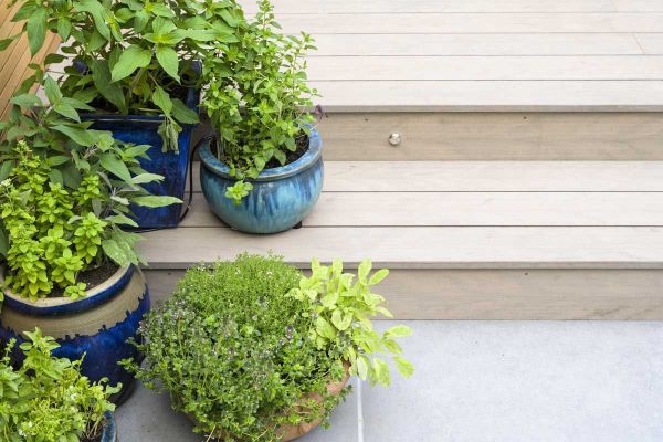 Corner view of two steps using Traditional DesignBoard composite fascia boards with precise mitred cuts for a seamless right-angle finish.***Also shows Florence Storm Porcelain | Design by Jaki Grosvenor | Built by Acacia Gardens | Photos by Anna Omiotek-