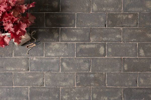 View down onto Durham Belgian bricks laid with sanded joints in running bond pattern, with heuchera. Free UK delivery available.***