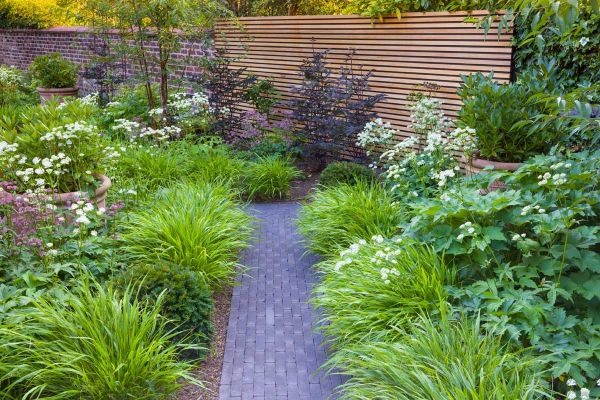 Straight path of Charcoal Grey clay paving runs between 2 flower beds with lush green planting towards slatted fencing.***Design by Blue Tulip Garden Design, www.bluetulipgardendesign.co.uk | Built by Crafted Landscapes, www.crafted-landscapes.co.uk | Pho