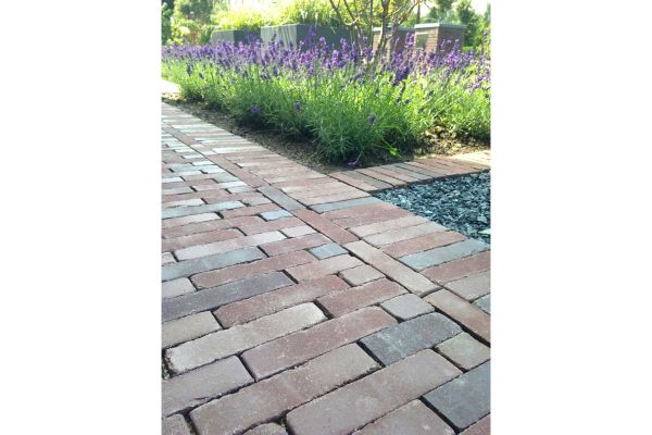 Path of Bergamo Dutch clay pavers with soldier course edge next to square-cornered bed of flowering lavender.***Designed by PaulHerveyBrookes.com | Built by BigFishLandscapes.co.uk 
