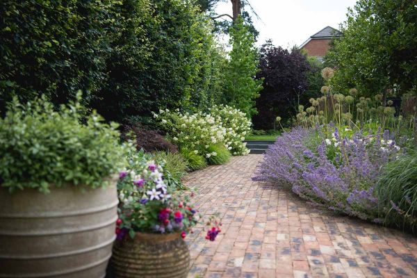 Cotswold Belgian bricks laid face-on as curve-edged path, leading to 3 steps up to lawn, between lushly flowering beds. ***Designed by Greencube Design, www.greencubedesign.co.uk | Built by Langdale Landscapes, www.langdalelandscapes.co.uk
