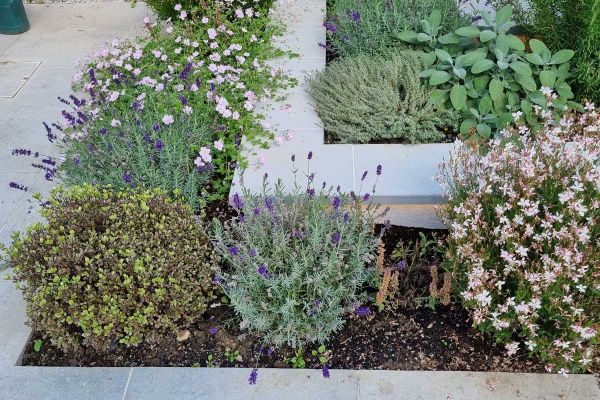 Corner of planted bed set within a bed, with Contemporary Grey sawn sandstone coping stones capping edges to both.***Landscape Artisan, www.landscapeartisan.co.uk
