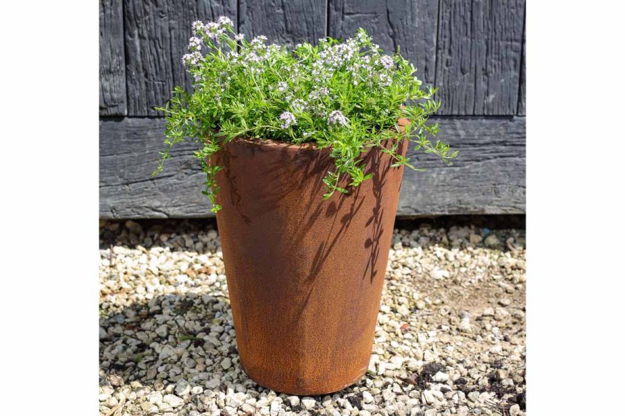 Tapered cylinder planter, measuring 300x400mm, planted with thyme by Form Plants, sits on gravel in front of aged wood screen.