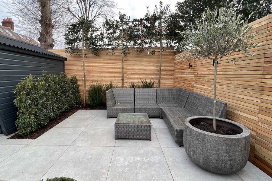 Contemporary rear garden with timber screens and pleach tree borders and a garden sofa sitting on Polvere porcelain paving.