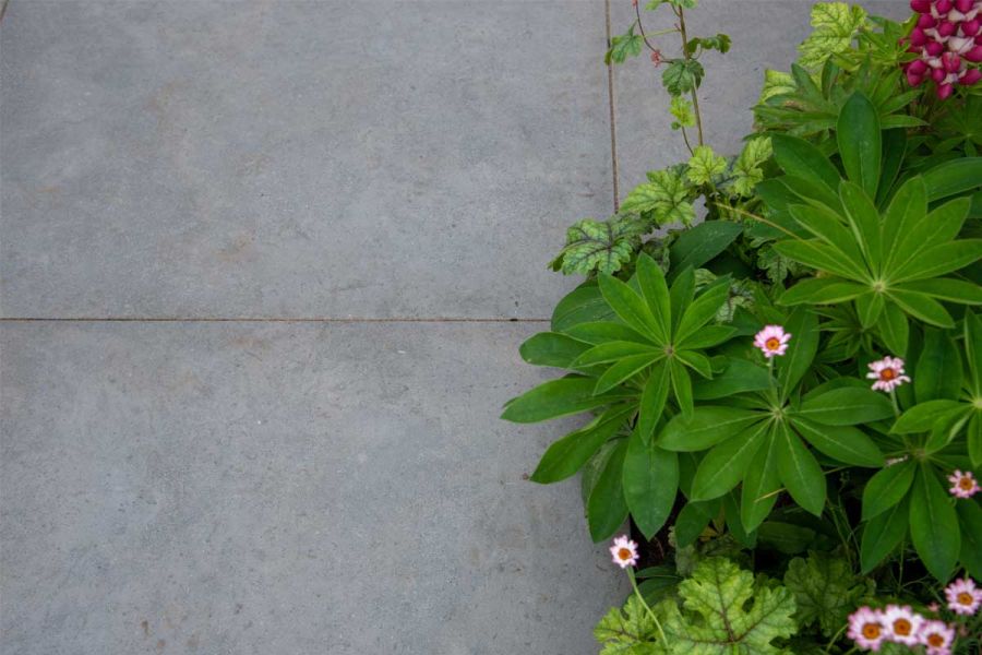 Close view down on 800x800 Anthracite Porcelain paving with narrow joints, plants spilling over. Design and build by Base Squared.