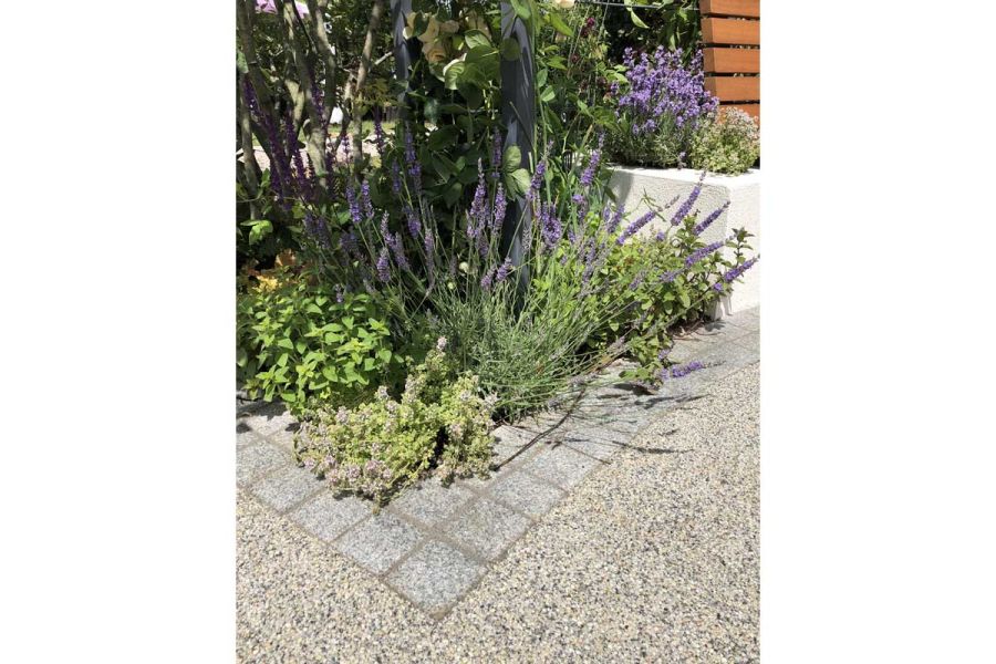 2 rows of sawn Silver Grey Granite setts, laid stack bond, divide bonded gravel from planted bed. Design by Aleksandra Bartczak.