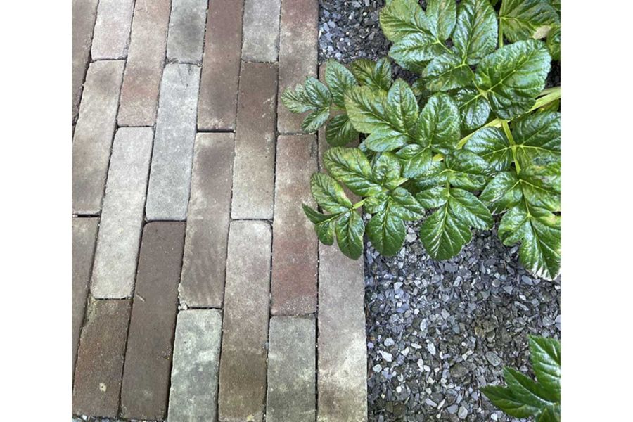 Bergamo Dutch Clay Pavers laid running bond next to gravel chippings. Built by Big Fish Landscapes. Design by Paul Hervey-Brookes.