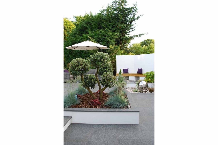 Coping to match the surrounding Black granite paving tops the white walls of a raised bed containing shrub and grasses.