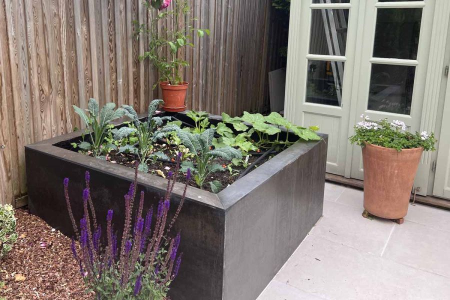 Steel Dark porcelain external cladding faces tall rectangular raised vegetable bed, filled with courgettes and kale plants. 