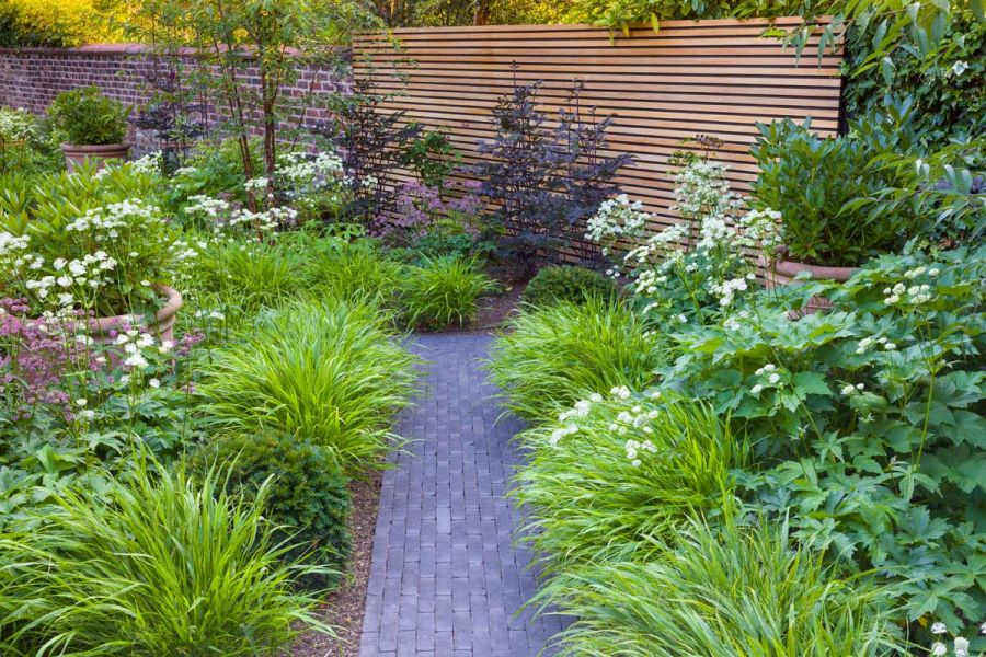 Straight path of Charcoal Grey clay paving runs between 2 flower beds with lush green planting towards slatted fencing.