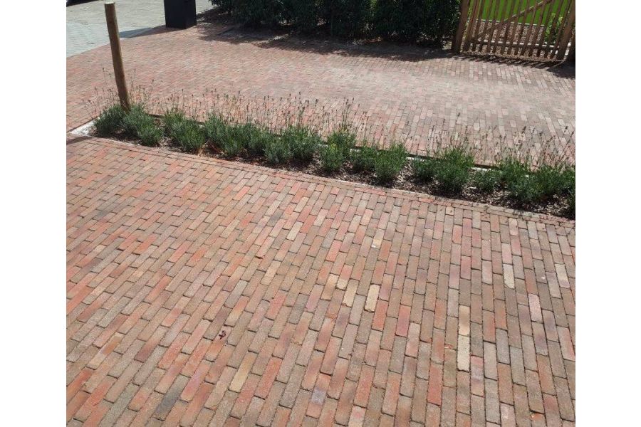 Seville clay pavers laid as front drive divided into 2 parts by long narrow rectangular lavender bed. 