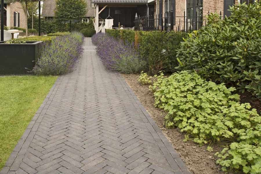 Straight path of 7 courses of Carbona clay pavers laid herringbone with running bond edges runs between planted beds and lawn.
