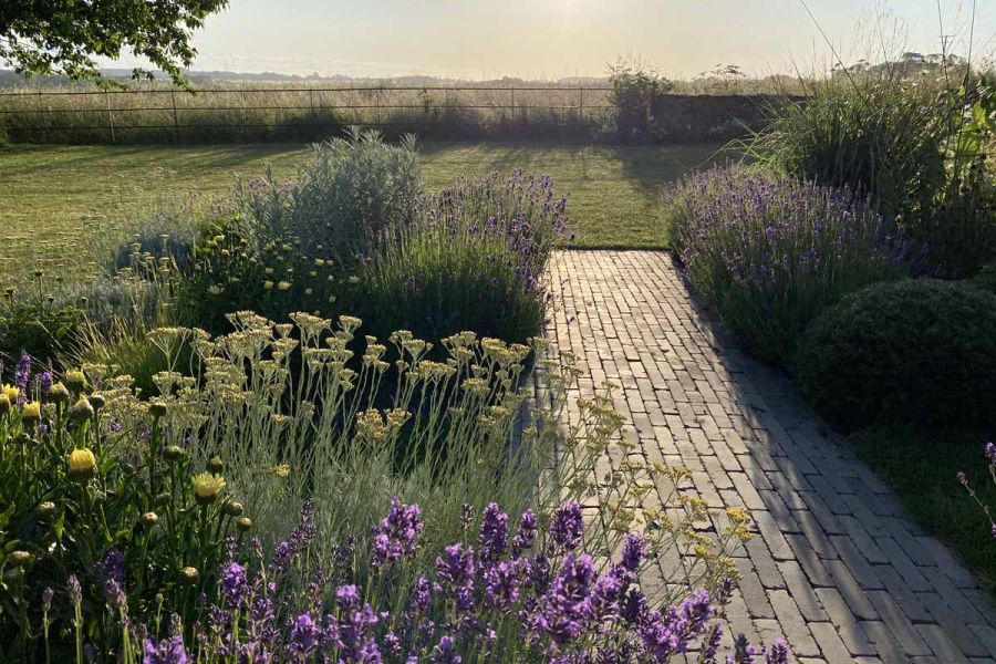 Path of Stone Grey clay pavers runs between shrub-planted beds to grass with fence overlooking fields.