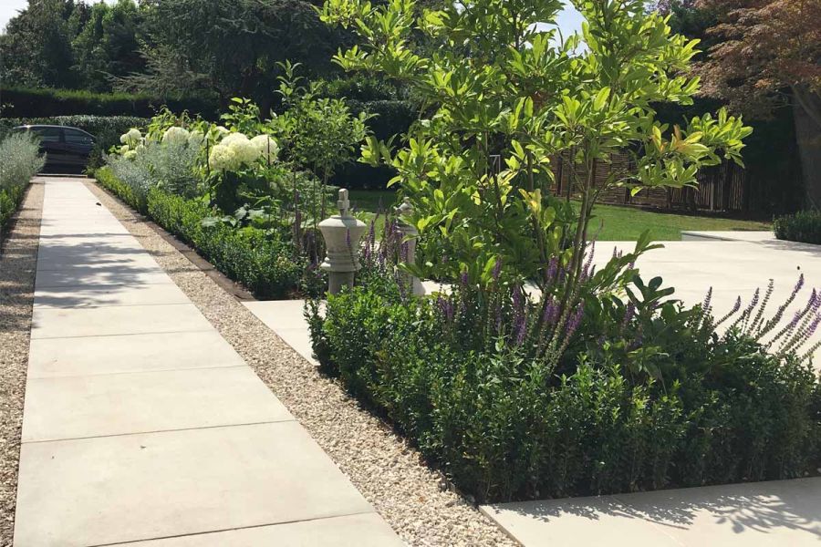 Garden path with Cement Porcelain Paving, bordered with gravel and mature planting that includes various plant species and trees.