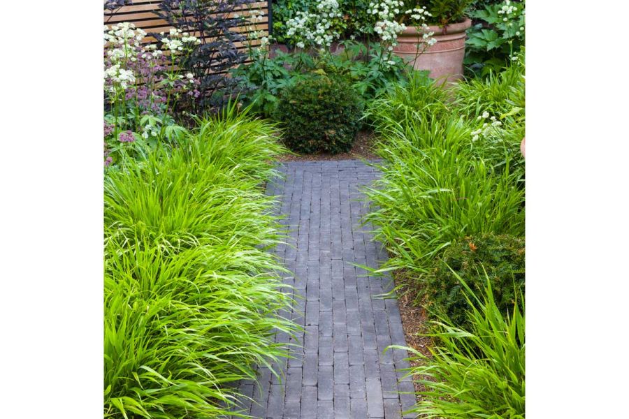 Straight path of Charcoal Grey clay paving runs between 2 lushly planted flower beds towards topiary ball.