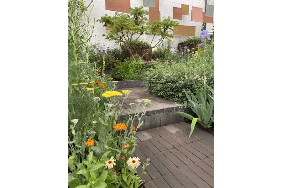 Charcoal Grey Clay Paving path with step up, between planted beds at RHS Chelsea. Design by Lottie Delamain. Built by Gardenlink.