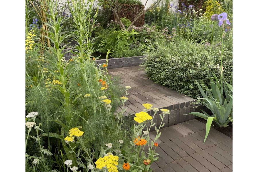 Path of Charcoal Grey Clay Paving with 1 step up between fully planted beds. Design by Lottie Delamain. Built by Gardenlink.