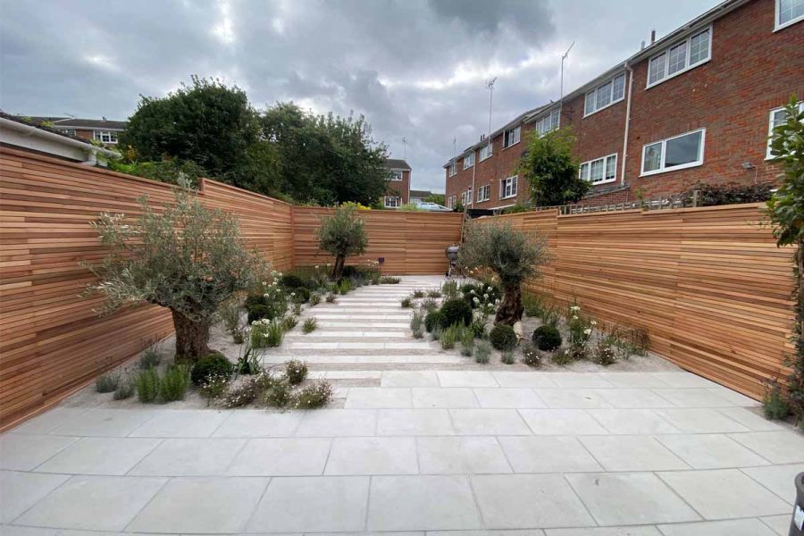 Contemporary Grey Sawn Sandstone and gravel-paved garden, with 3 olive trees and small plants marking sinuous path to barbecue.