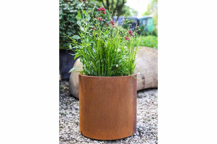Corten Steel cylinder planter filled with leafy, grass-like plants, sitting on gravel. Free next-day delivery available.