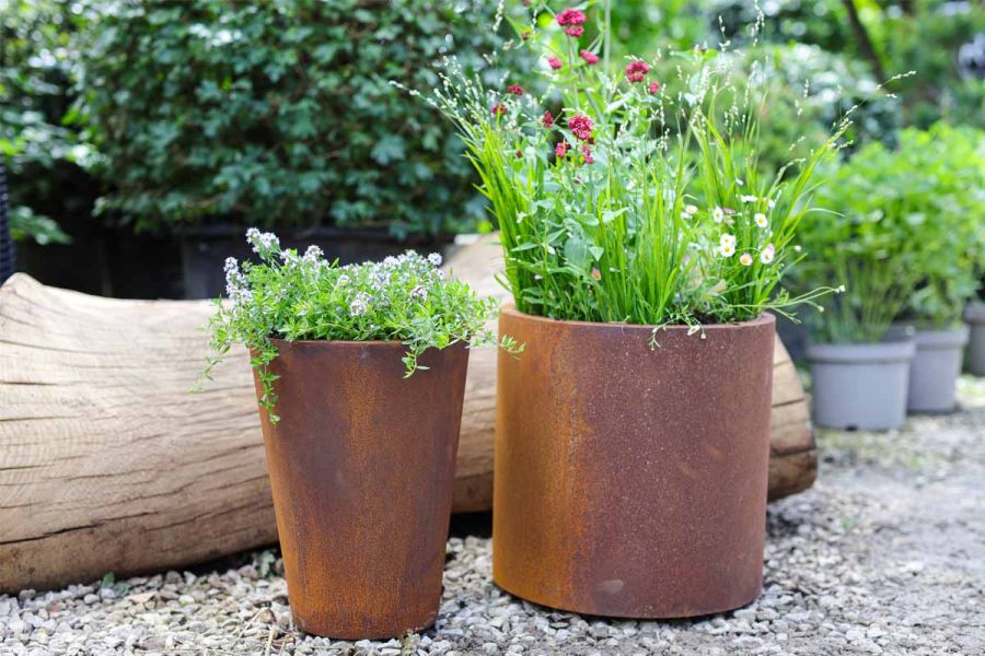Corten steel tapered planter sits next to cylinder planter, planted up by Form plants, on gravel in front of large tree trunk.