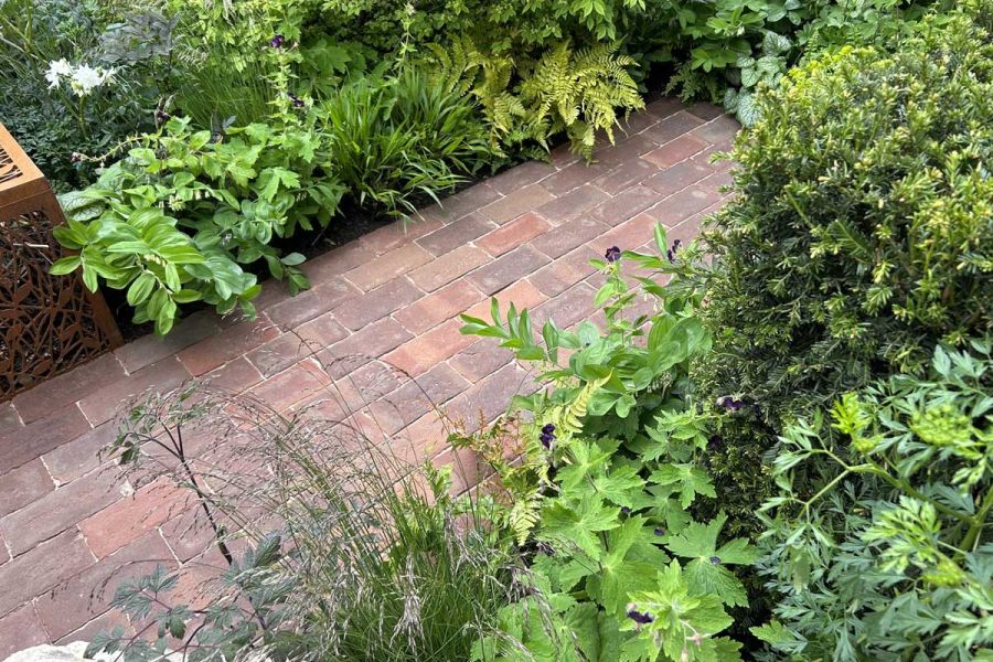 Low plants with different leaf shapes in beds either side of Dorset Antique clay paver path, built by Landscape Associates.