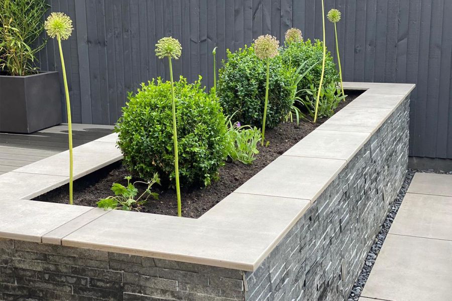 Large stone clad raised planter bed with porcelain coping stones and planted with circular boxed hedging plants.