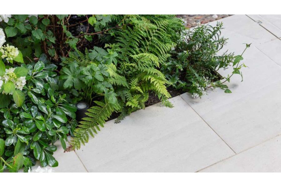 Ferns and other perennial planting gently spilling from the flowerbed over a Faro porcelain patio.