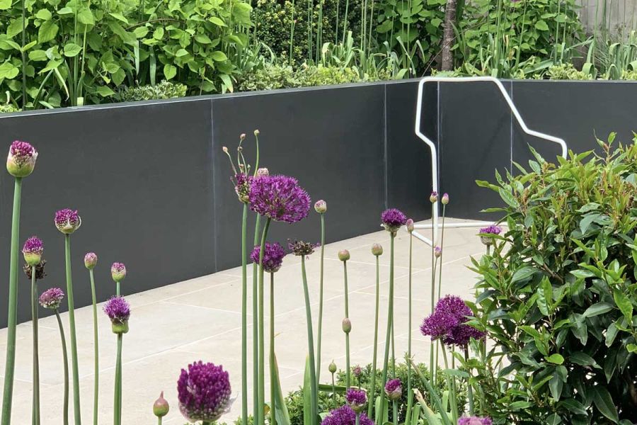 Opium Black Luxury Porcelain external cladding faces raised bed filled with shrubs from cream paving. Design by Waratah Gardens.