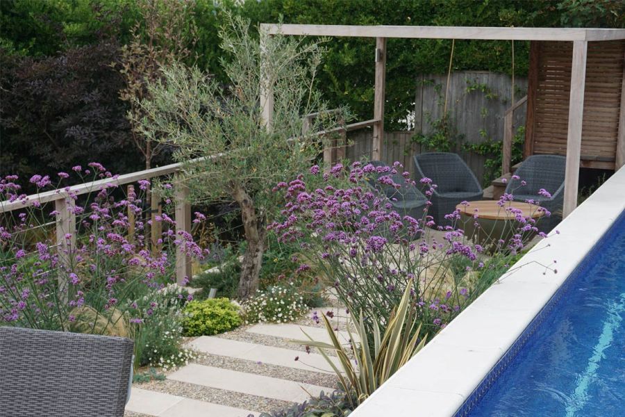 Florence Beige Porcelain planks laid in gravel, edged with Mediterranean planting, lead to seating area. Design by Fern and Pine.