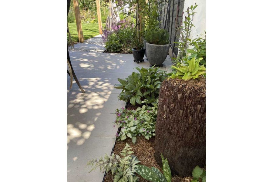 Border of plants with variegated leaves next to Florence grey porcelain paving leading away past lawn. Design by Emily Jane Bones.