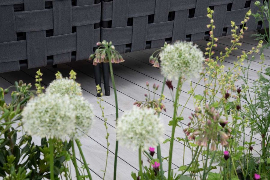 White alliums in front of Luna DesignBoard composite decking, Boodles trade stand, built by Garden House Design, RHS Chelsea 2022.