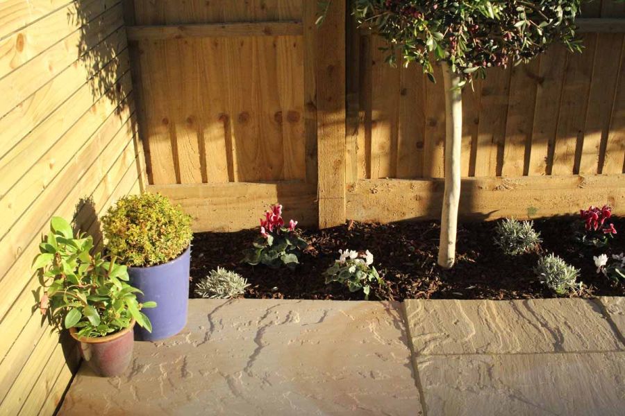 Garden corner with narrow bed separating Camel Dust Indian sandstone paving with riven surface from wooden fence.