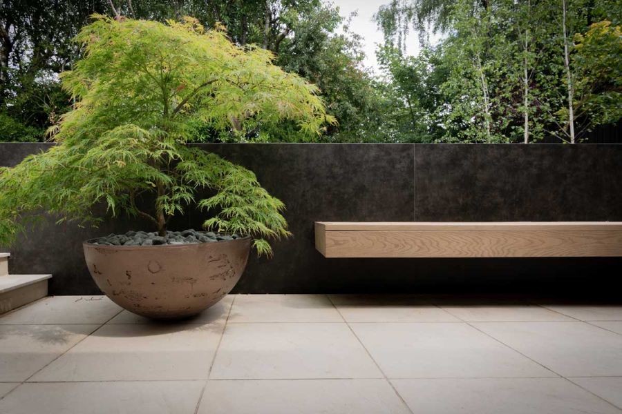 Japanese maple in bowl planter sits on porcelain paving next to DesignClad wall holding Golden Oak Millboard decking bench.