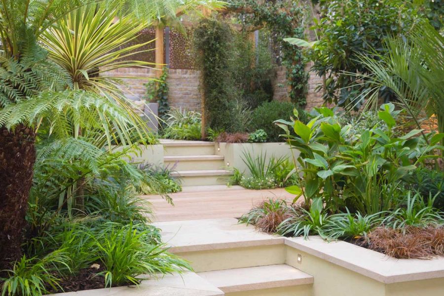2 sets of garden steps either side of decking area, surrounded by exotic planting and brick wall. Design by Urban Paradise.