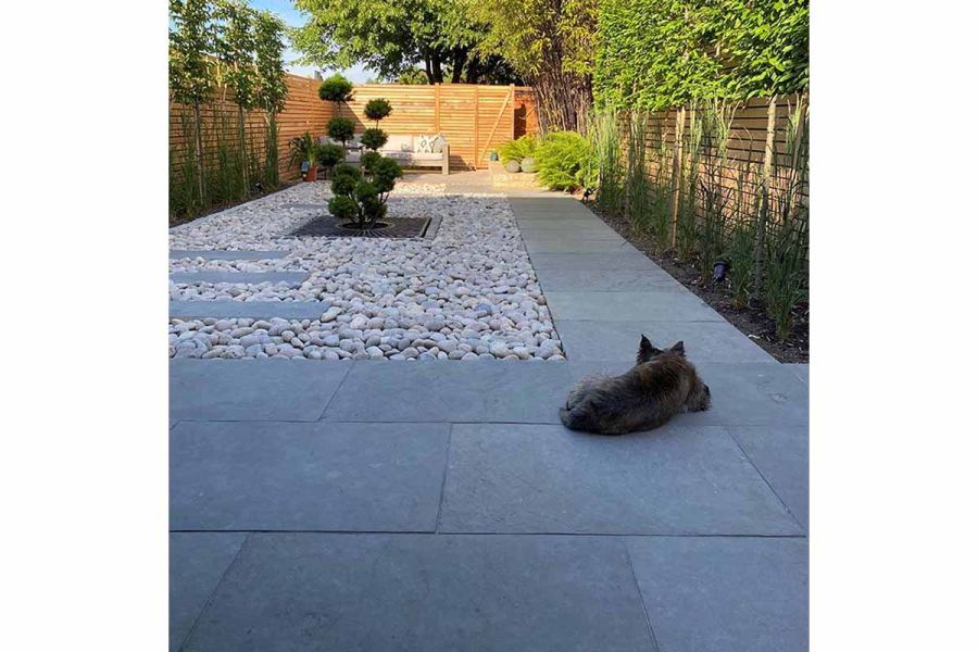 Dog lies on Graphite Grey limestone paving with path leading down side of long narrow garden to seating area. Pebbles to left.