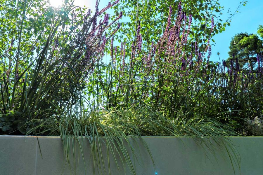 Planted bed with mauve flowers and grasses that flow over edge faced with Hydra Plomo DesignClad external cladding.