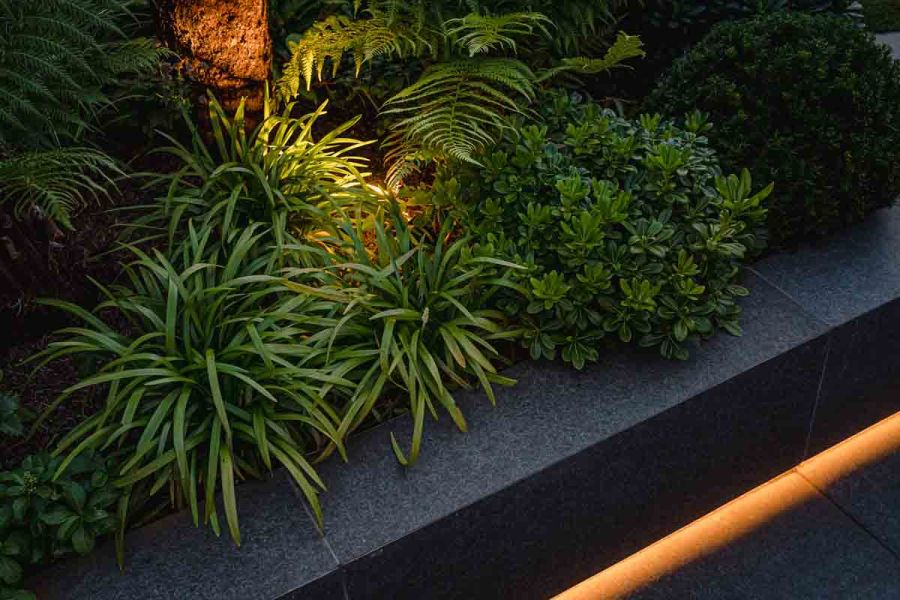 Close view of illuminated planted bed with retaining wall, recessed lighting at base, faced with Basalt porcelain slabs.