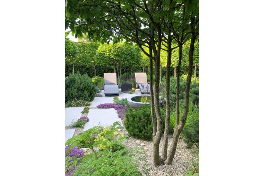 Jura Grey Smooth Limestone Paving in garden by Colm Joseph, with dry planting in gravel, sunloungers and box-head hornbeams.