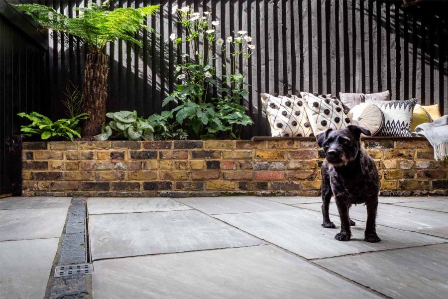 Short-legged terrier stands on Kandla Grey Indian sandstone garden patio, edged by fence and brick raised bed with integral bench.