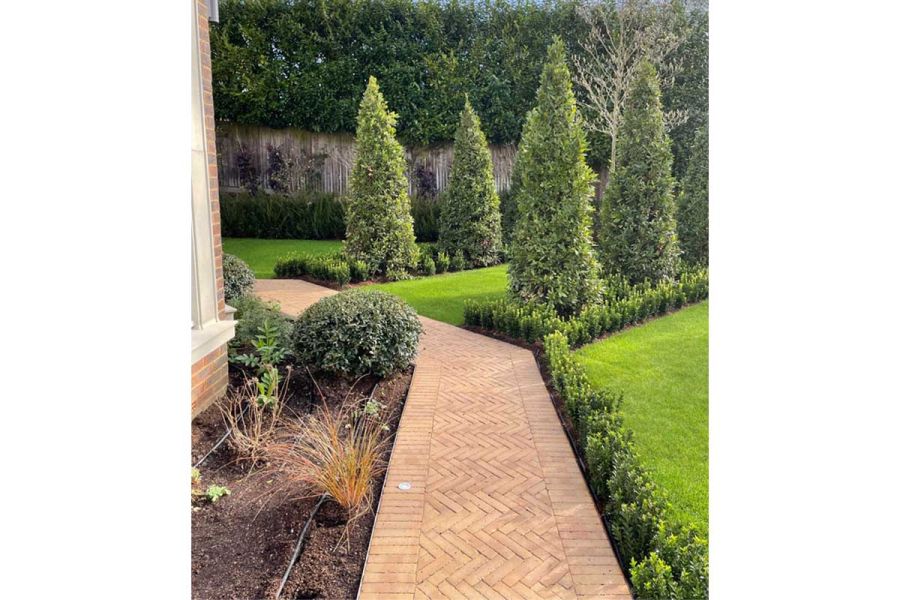 Angled path of Westminster Clay Pavers edged by lawns with low box hedging and ranks of conical conifers. Design by Kate Gould.