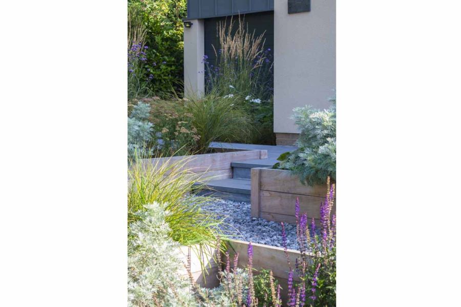 Two shallow Kirkby Porcelain steps with downstand descend to gravel path between wooden edged flowerbeds, by Phil Hirst Design.