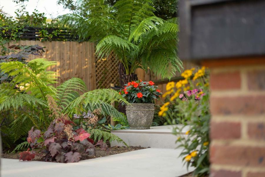 Tree ferns and other green foliage planted to soften the edges of a Light Grey Porcelain patio area.