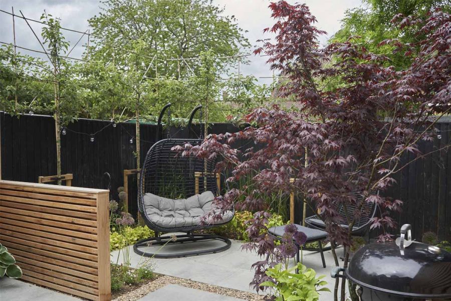 Garden area with Light Grey Porcelain paving, a modern garden furniture set and a beautiful Acer palmatum ’Bloodgood’ tree.