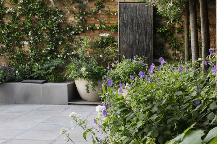 Tall brick wall with climbers behind raised bed that borders Contemporary Grey sawn sandstone paving. Built by Shoots and Leaves.